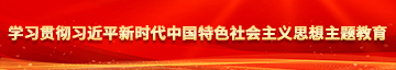 操出b学习贯彻习近平新时代中国特色社会主义思想主题教育